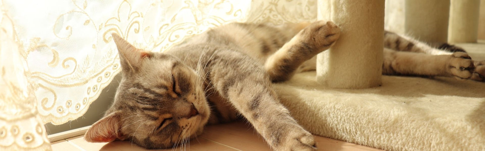 Vorhang mit Stickerei