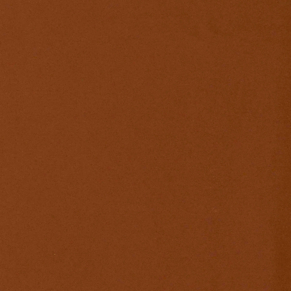 Verdunkelungsvorhang CYRILL