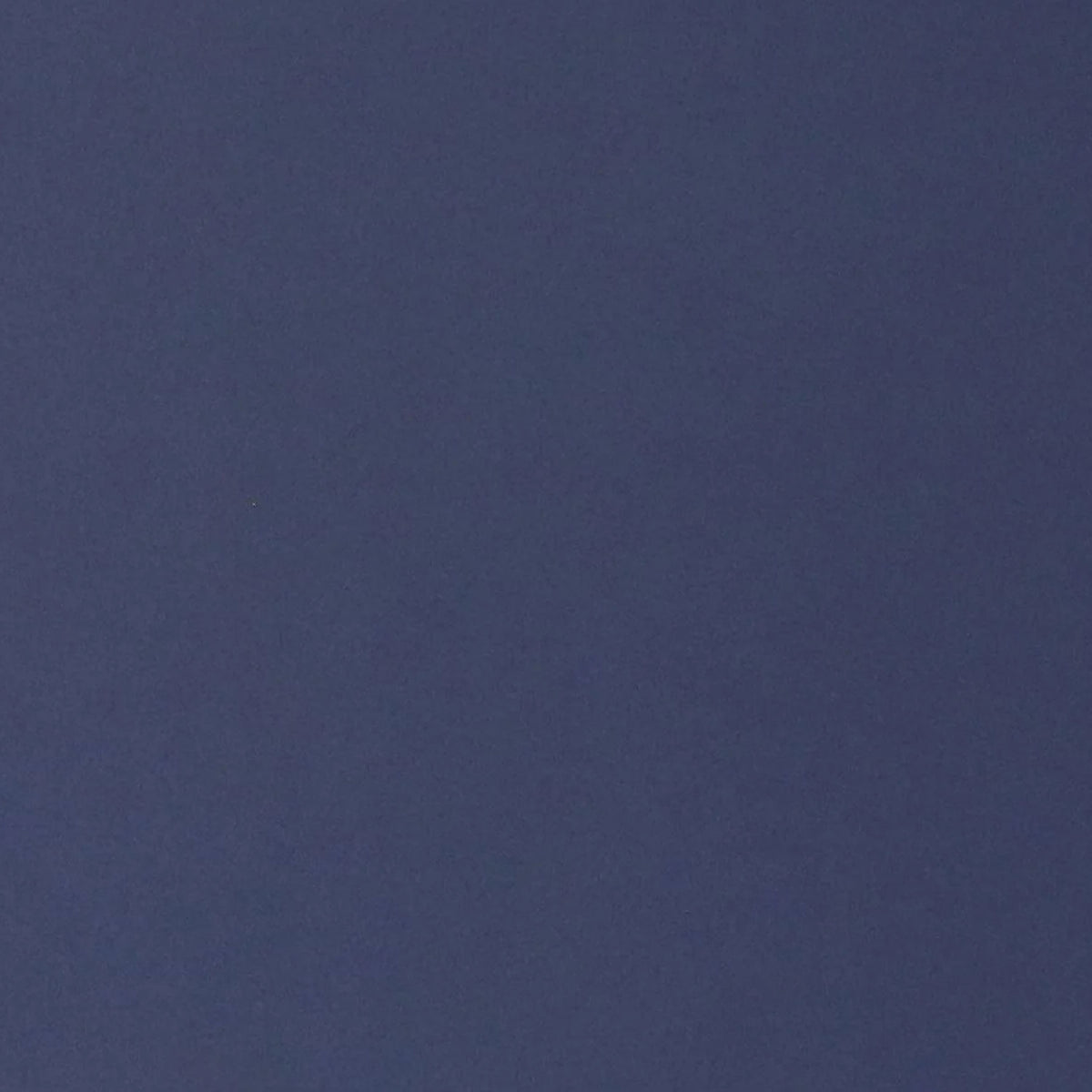 Verdunkelungsvorhang CYRILL