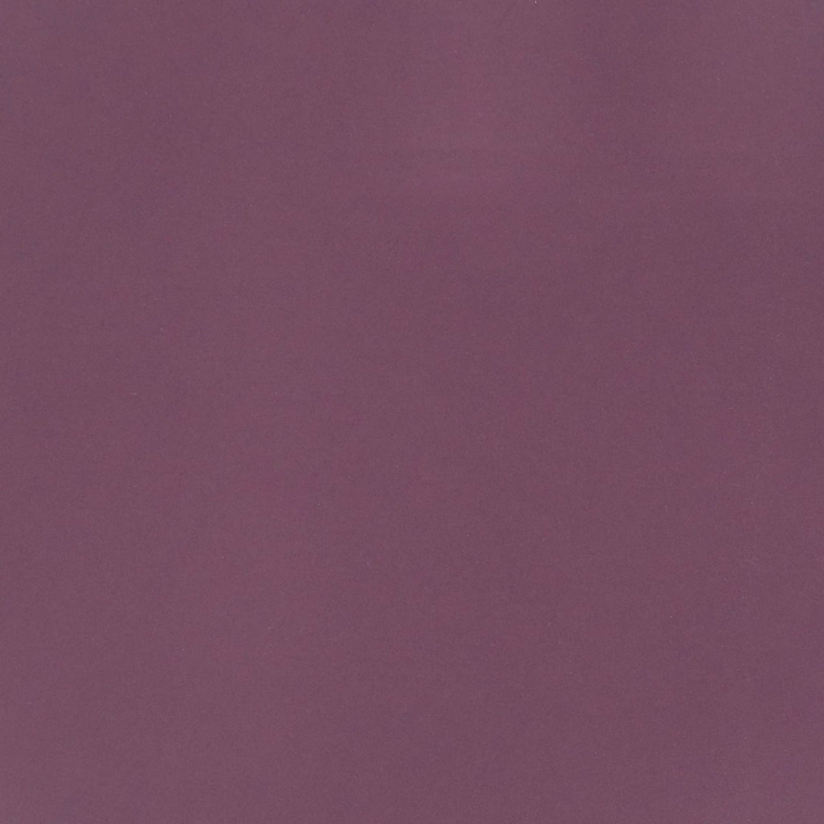 Verdunkelungsvorhang CYRILL