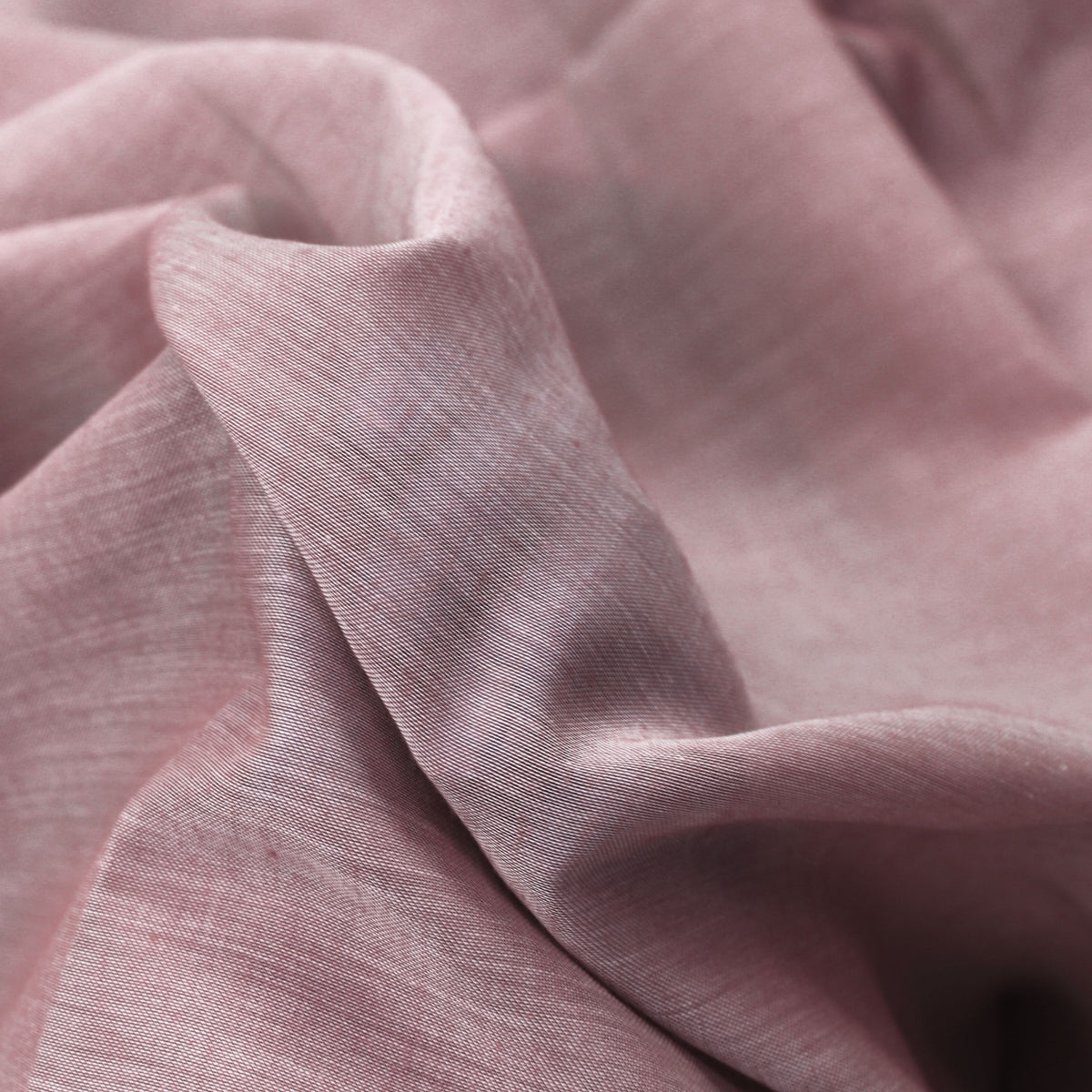 Day curtain berry Tilly