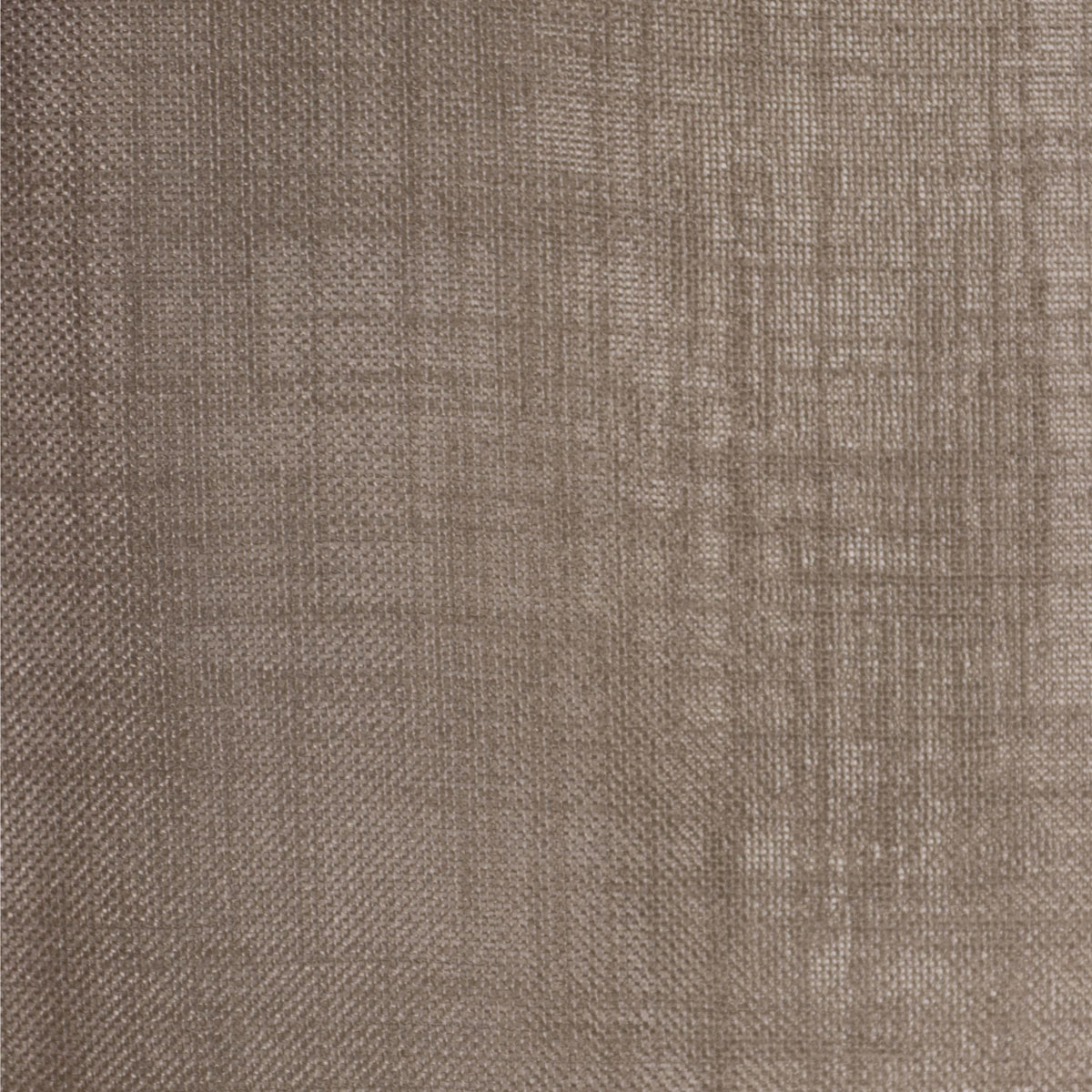 Tagesvorhang taupe Padma