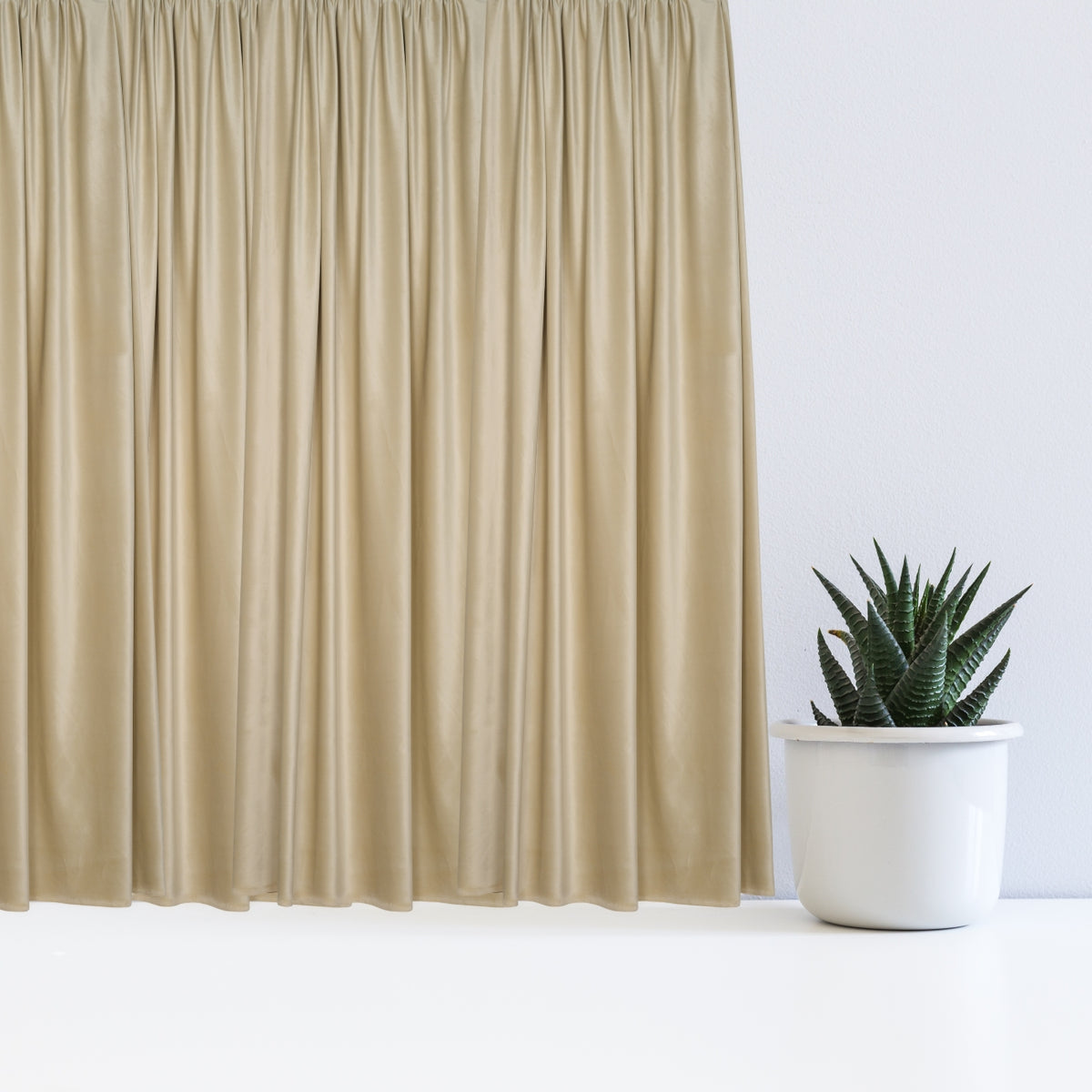Night curtain ivory Velvet