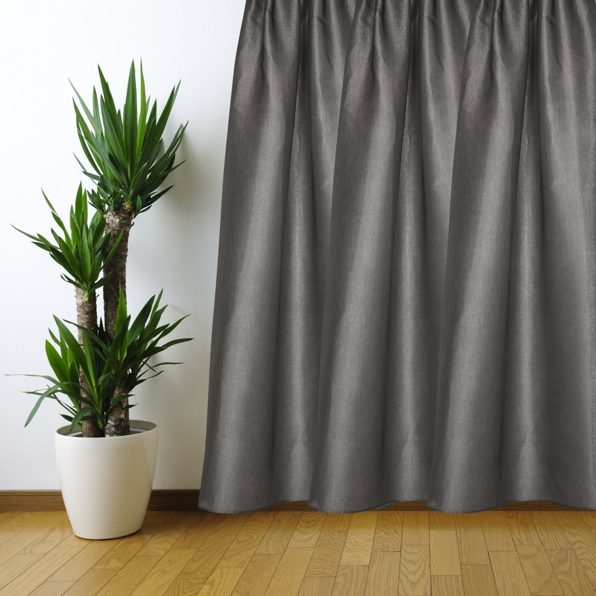 Day curtain anthracite Sol