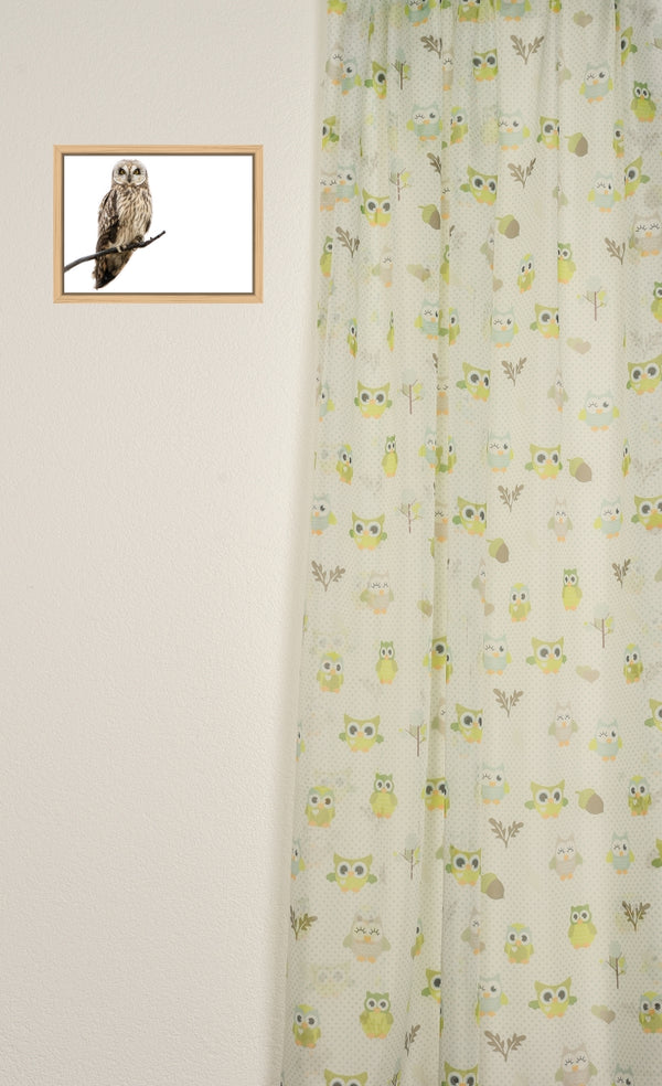 Day curtain "Owl" green Bowie