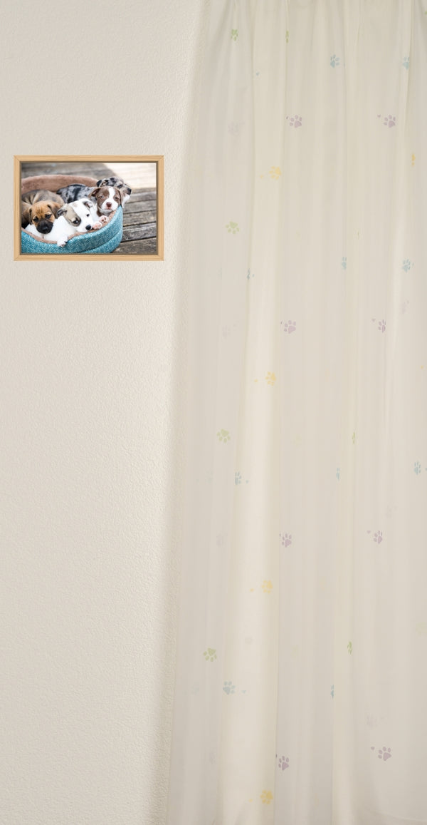 Day curtain, colorful rascal "dog"