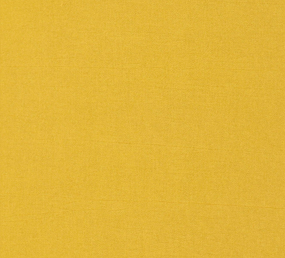 Night curtain yellow Primus