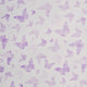 Curtain de dégoût Violet Summer Bird 
