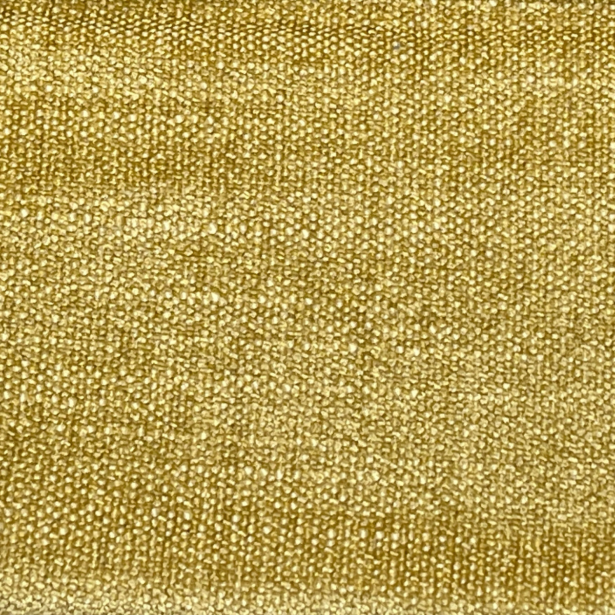 Night curtain yellow Yeti