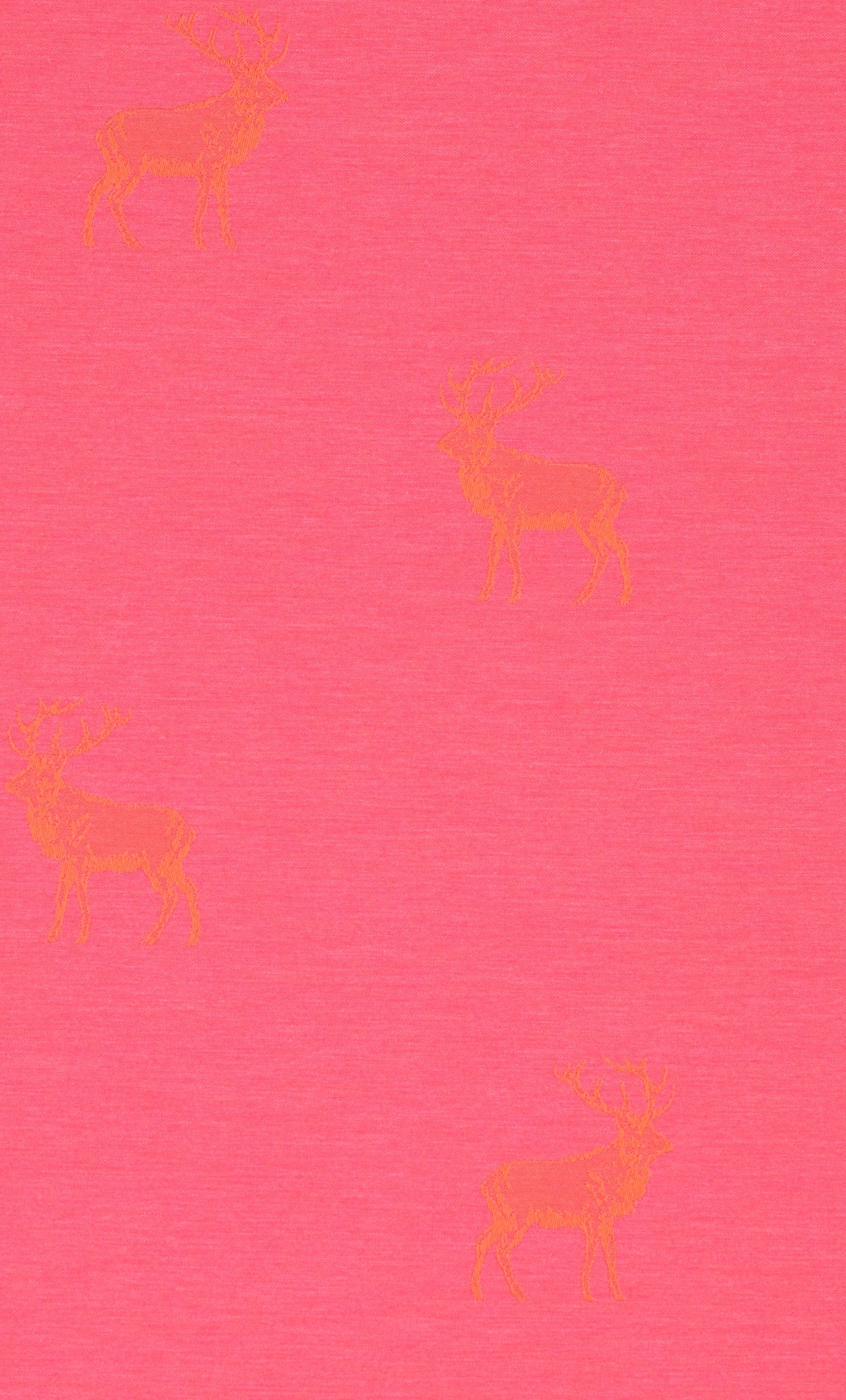 Nachtvorhang orange rosa Pirmin
