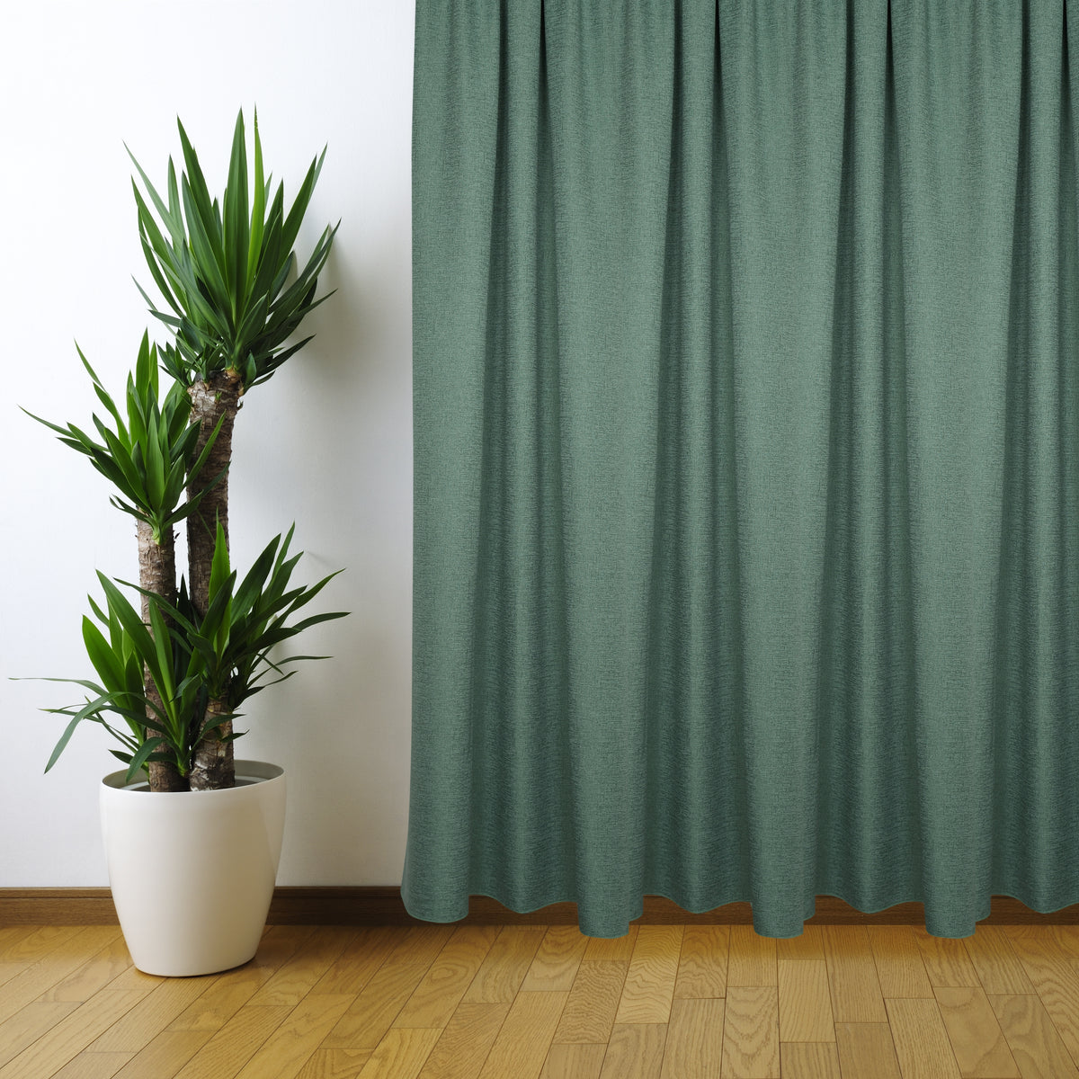 Night curtain light green Discover