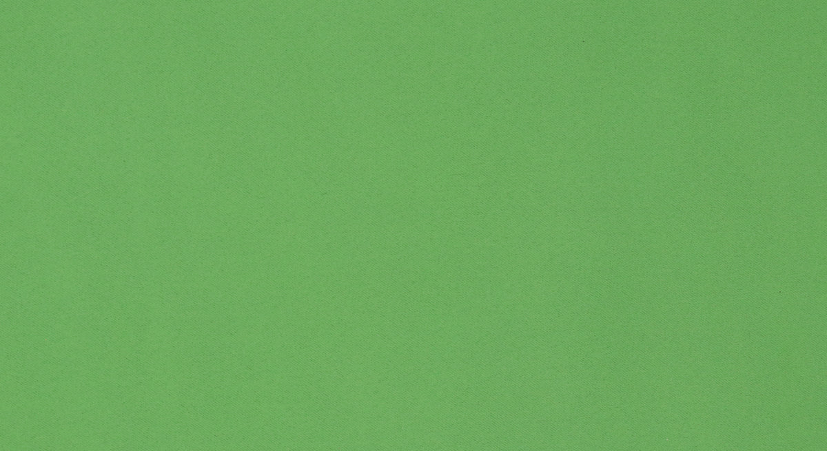 Verdunkelungsvorhang olivgrün Viktoria
